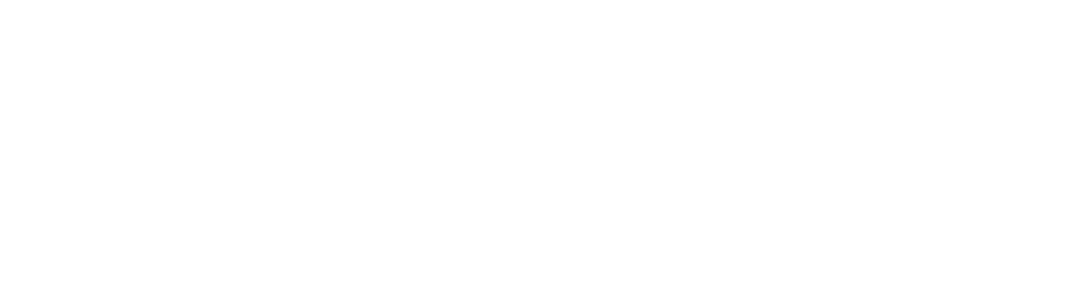 INDESIGN Logo